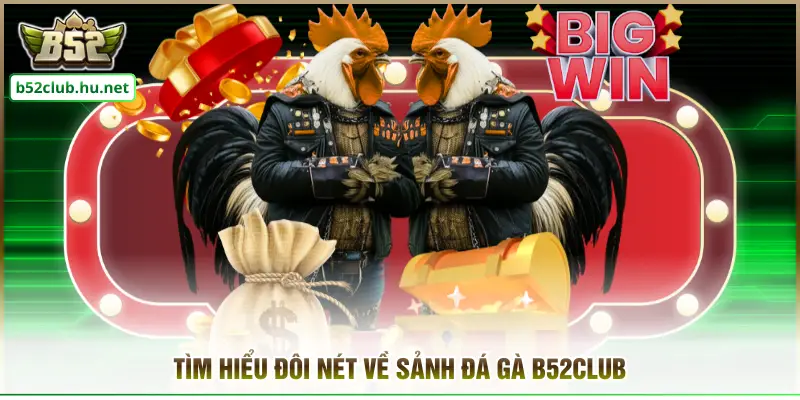 Tìm hiểu đôi nét về sảnh đá gà B52club